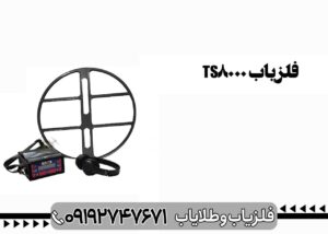 فلزیاب تی اس 8000