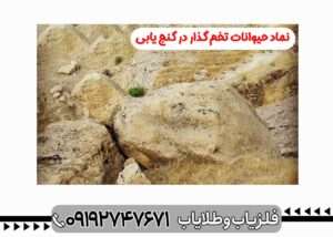 نماد لاک پشت در دفینه یابی