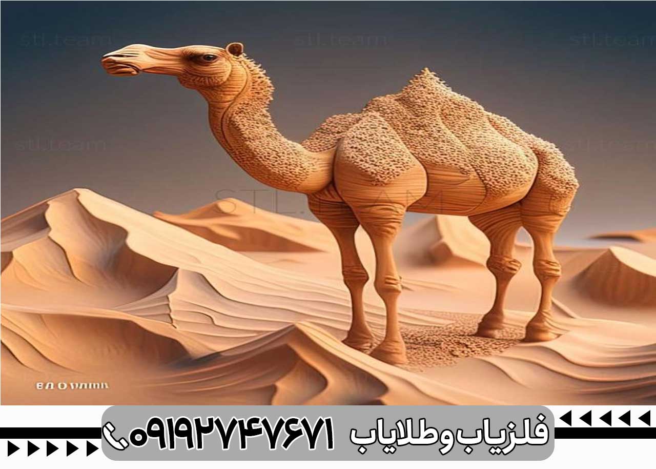 نماد شتر در گنج یابی