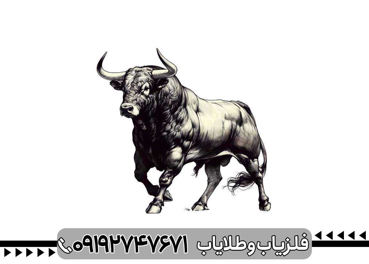 نشانه گاو نر در گنج یابی