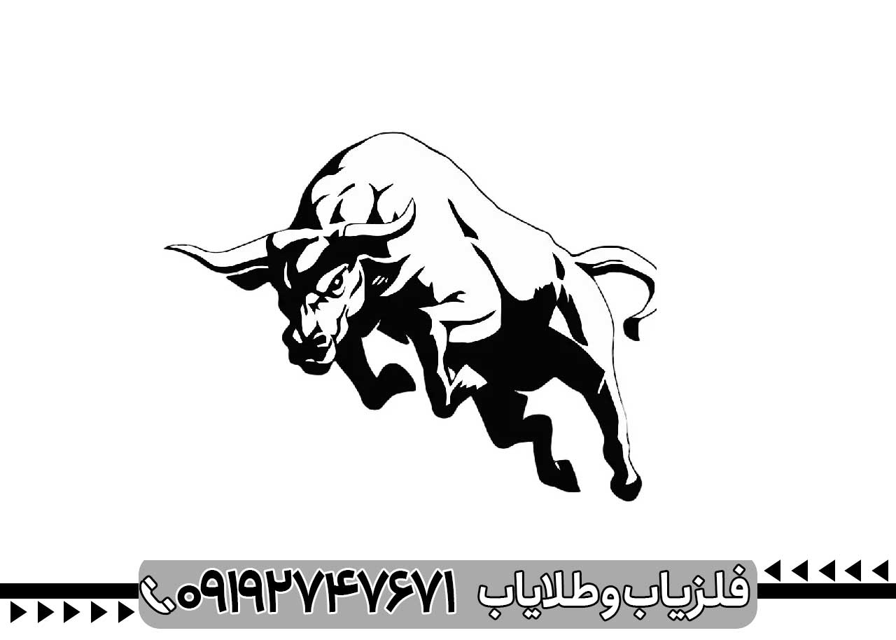 نشانه گاو نر در گنج یابی
