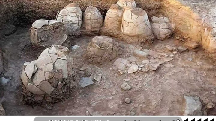 انواع سنگ چین در دفینه