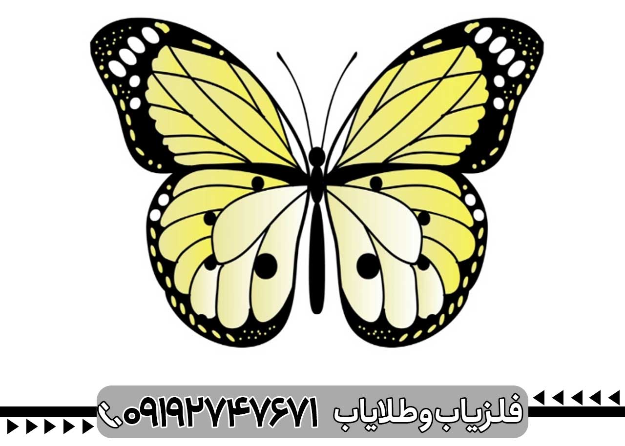 نماد پروانه در دفینه یابی