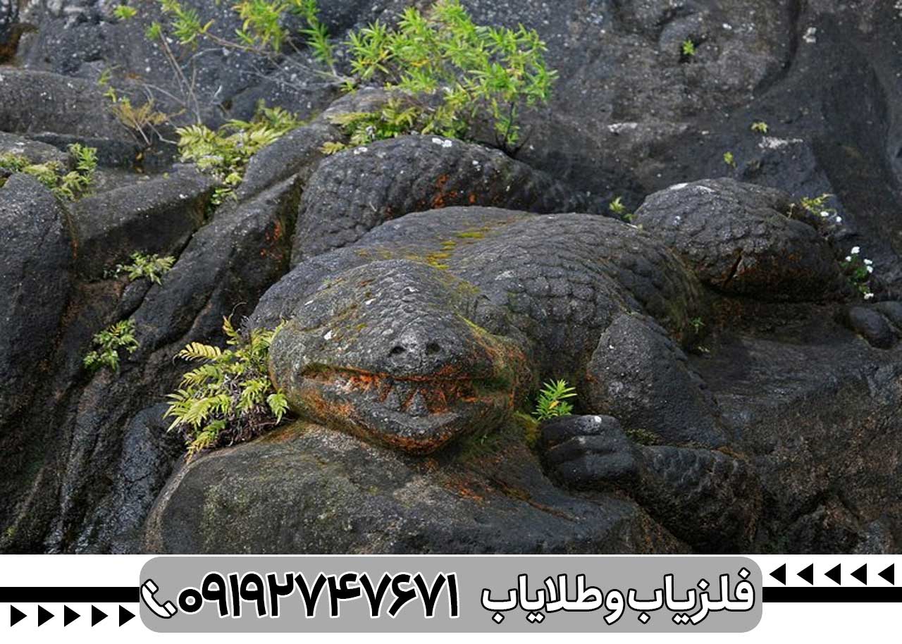 نماد سوسمار در دفینه یابی