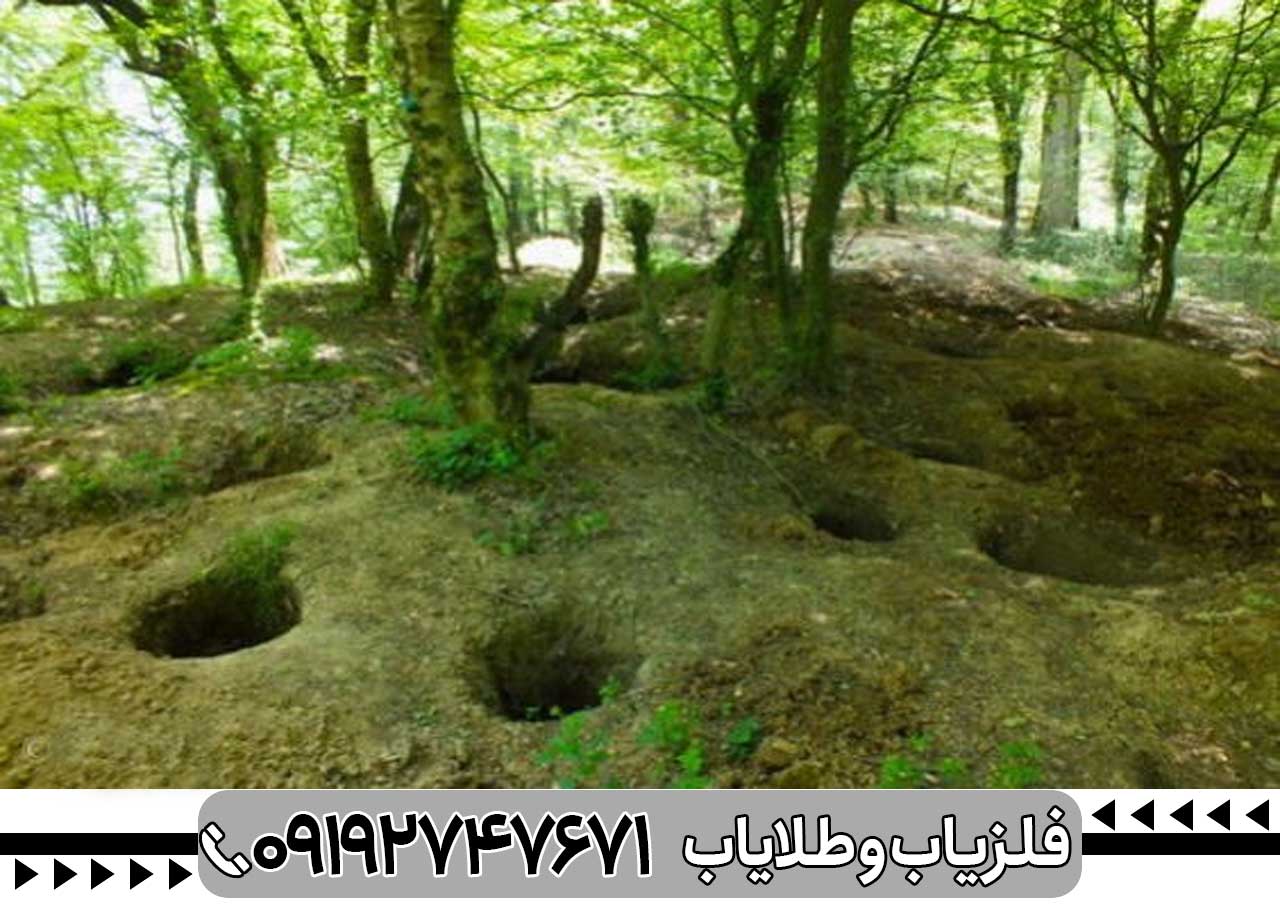 گنج یابی در جنگل