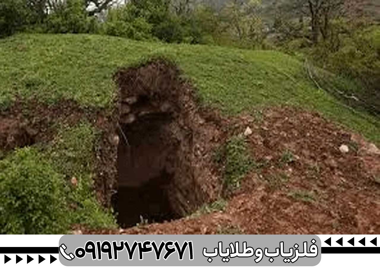 گنج یابی در جنگل