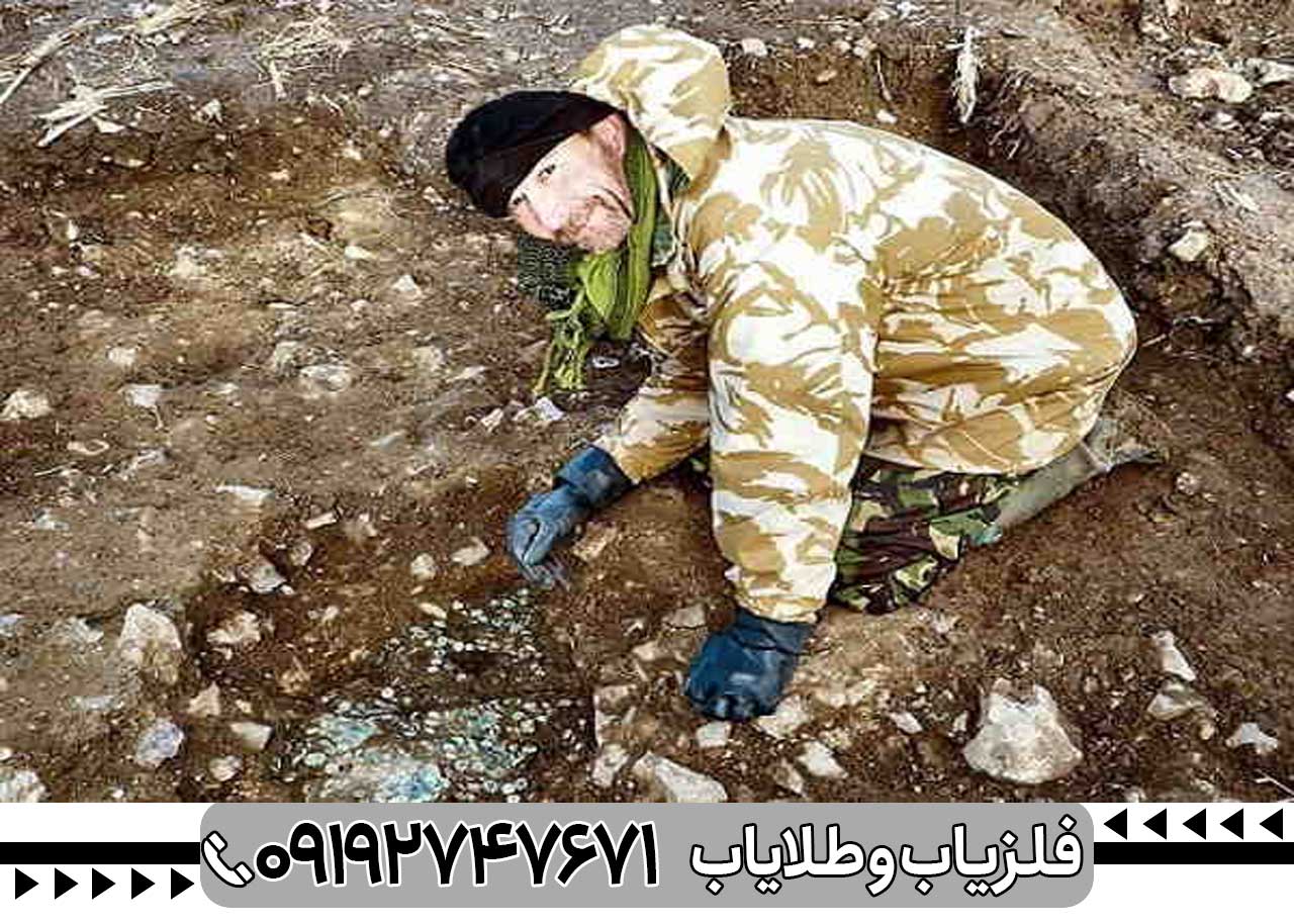 گنج یابی در جنگل