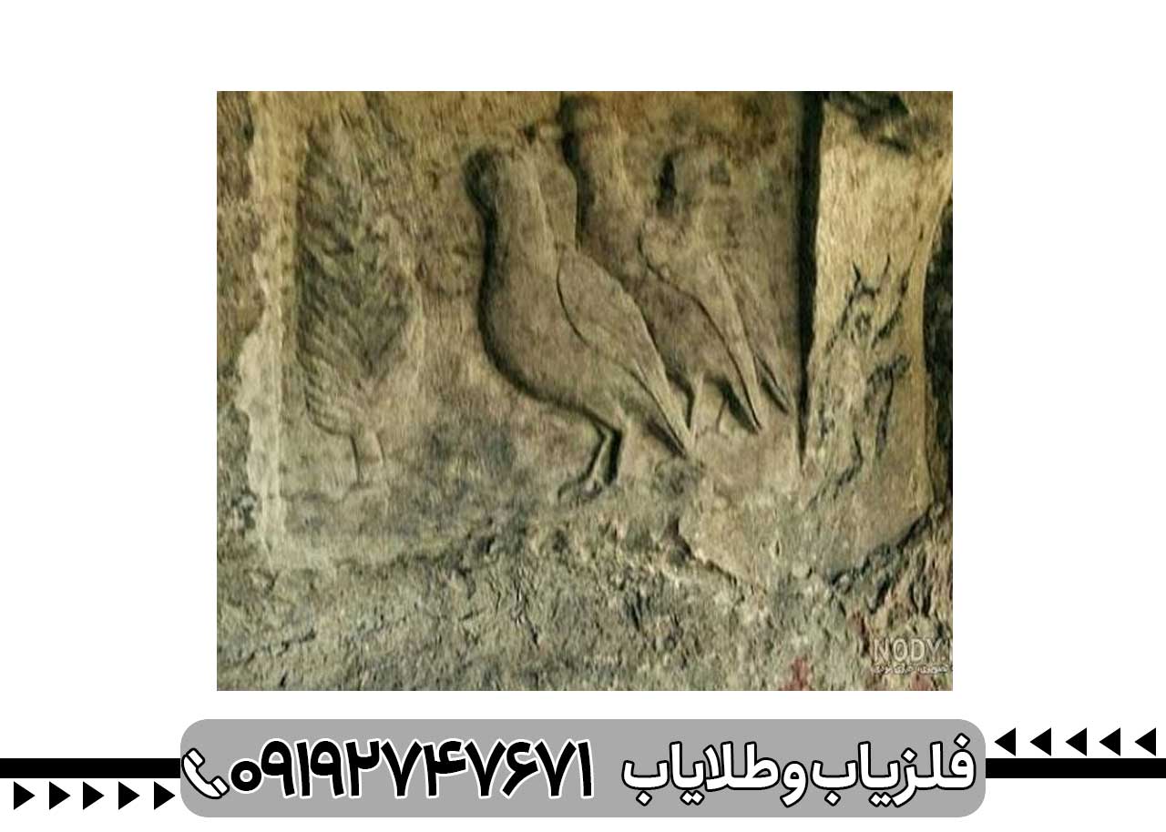 نماد کبک در دفینه یابی