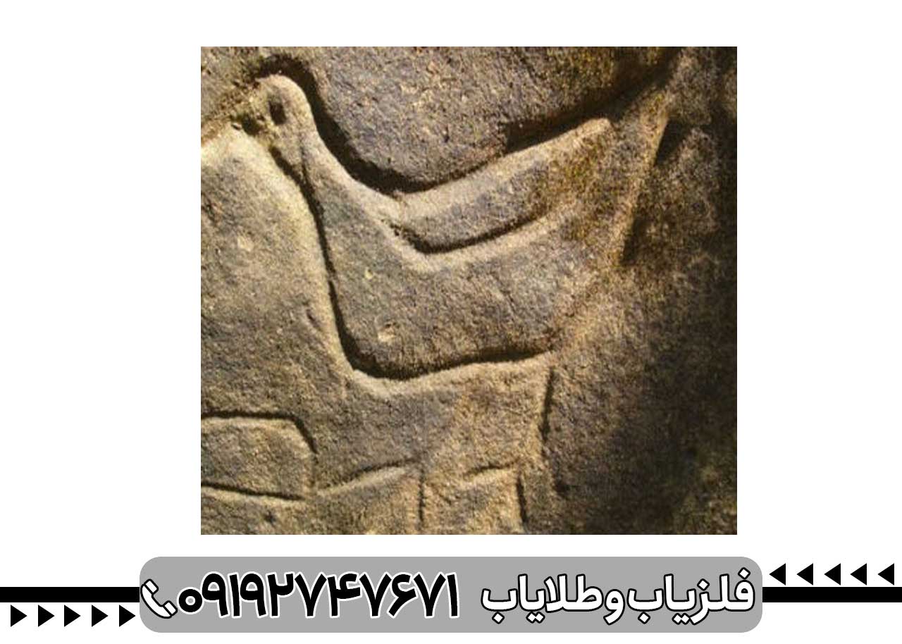 نماد کبک در دفینه یابی