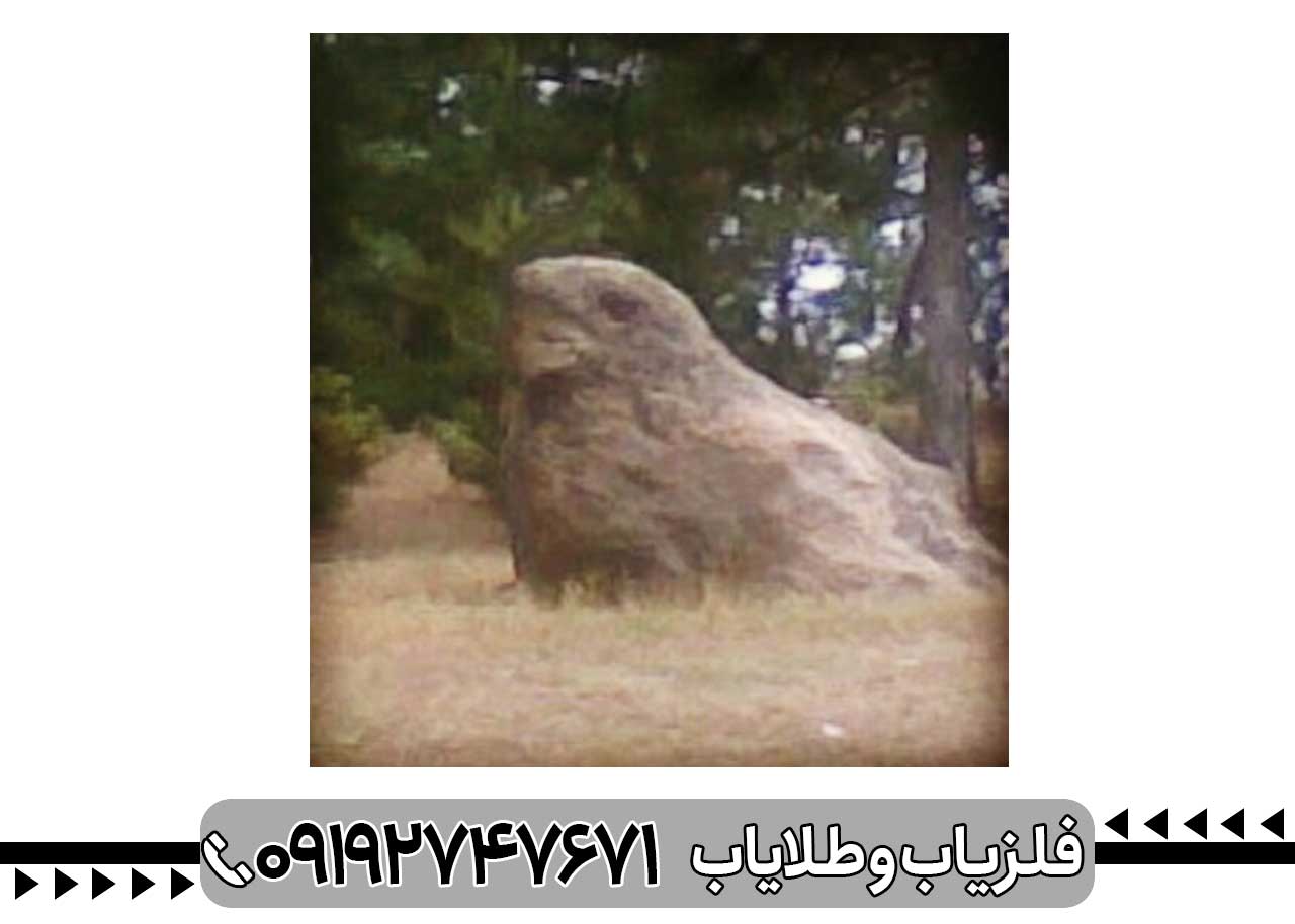 نماد کبک در دفینه یابی