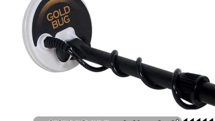 Fisher Gold Bug 2 – بهترین فلزیاب برای ذرات ریز طلا