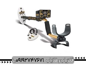 فلزیاب فیشر گلد باگ 2