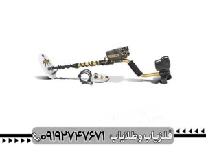 فلزیاب فیشر گلد باگ 2