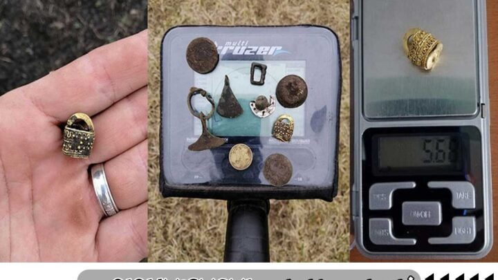 فلزیاب Multi Kruzer